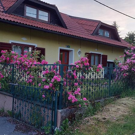 Kuca Za Odmor ,Erdelj 21 B Apartment Generalski Stol ภายนอก รูปภาพ