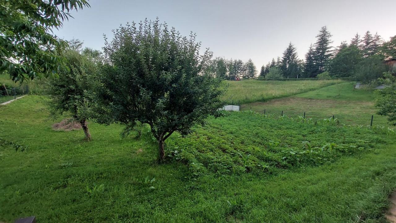 Kuca Za Odmor ,Erdelj 21 B Apartment Generalski Stol ภายนอก รูปภาพ